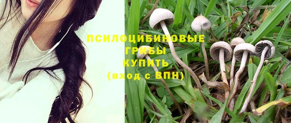 ГАЛЛЮЦИНОГЕННЫЕ ГРИБЫ Алзамай