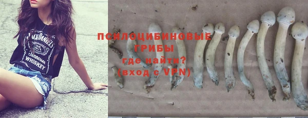 амф Абинск