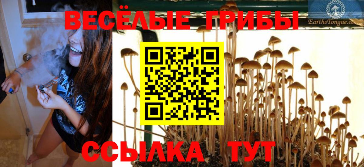 Иваново  Галлюциногенные грибы Psilocybe  Галлюциногенные грибы MAGIC MUSHROOMS  Вход с VPN 