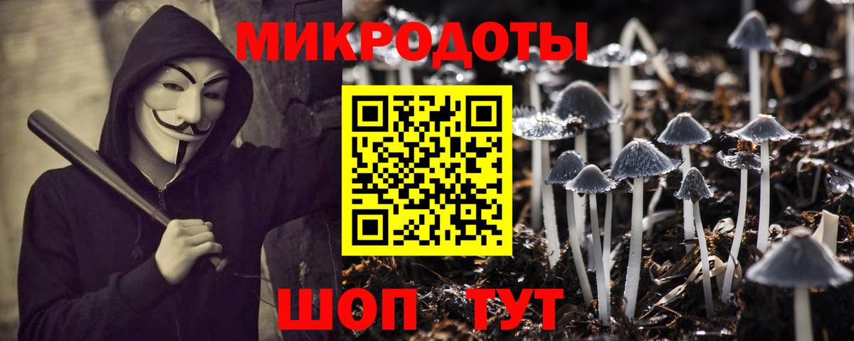 Псилоцибиновые грибы Cubensis Иваново